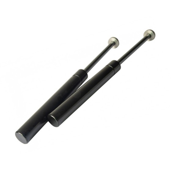 Gamo Big Cat Kit Basic Gas Ram